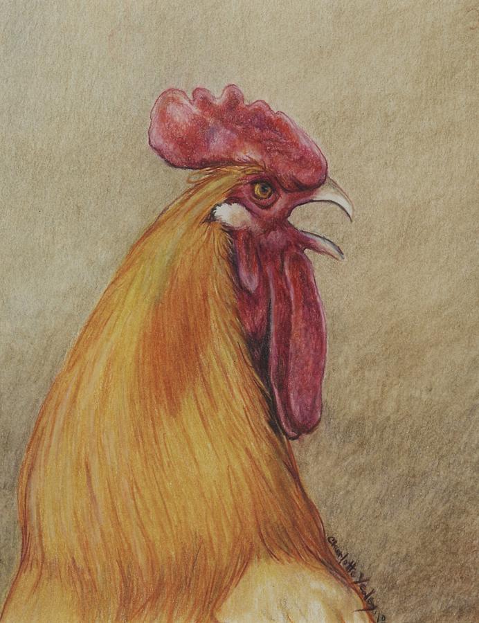 Crowing Rooster Profile Drawing by Charlotte Yealey
