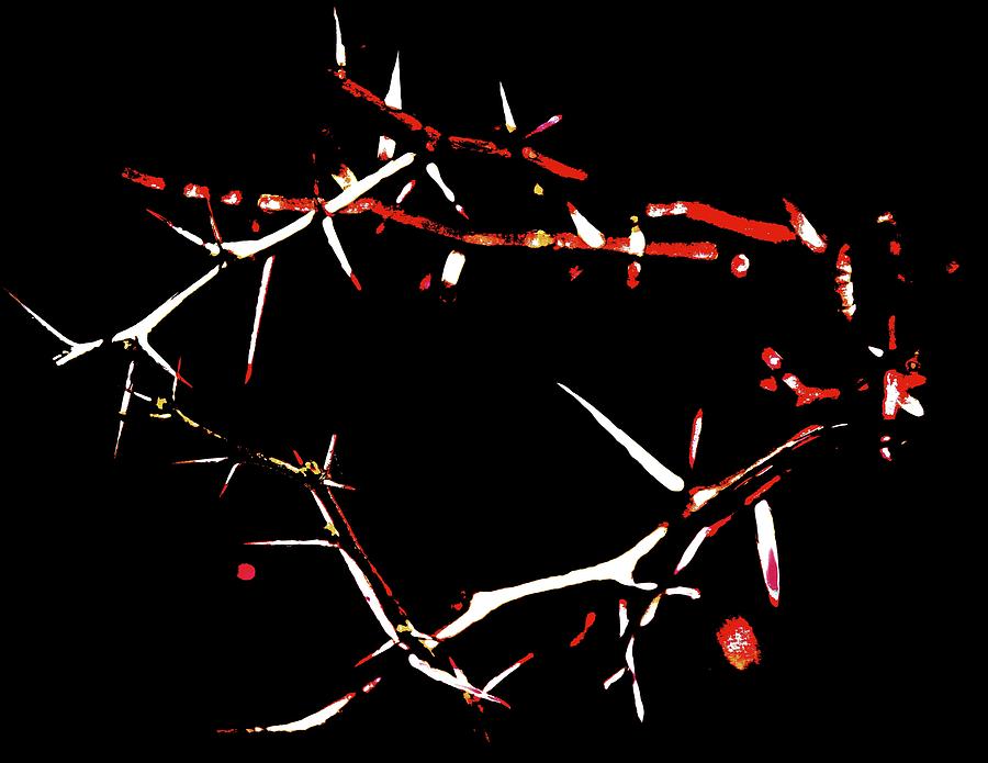 Crown Of Thorns, 2015 (repainted Photograph) Photograph by Joy Lions
