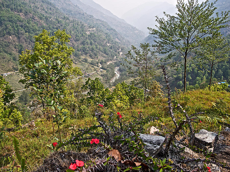 Crown Of Thorns Above Modi River Valley In Nepal Photograph By Ruth Hager Pixels