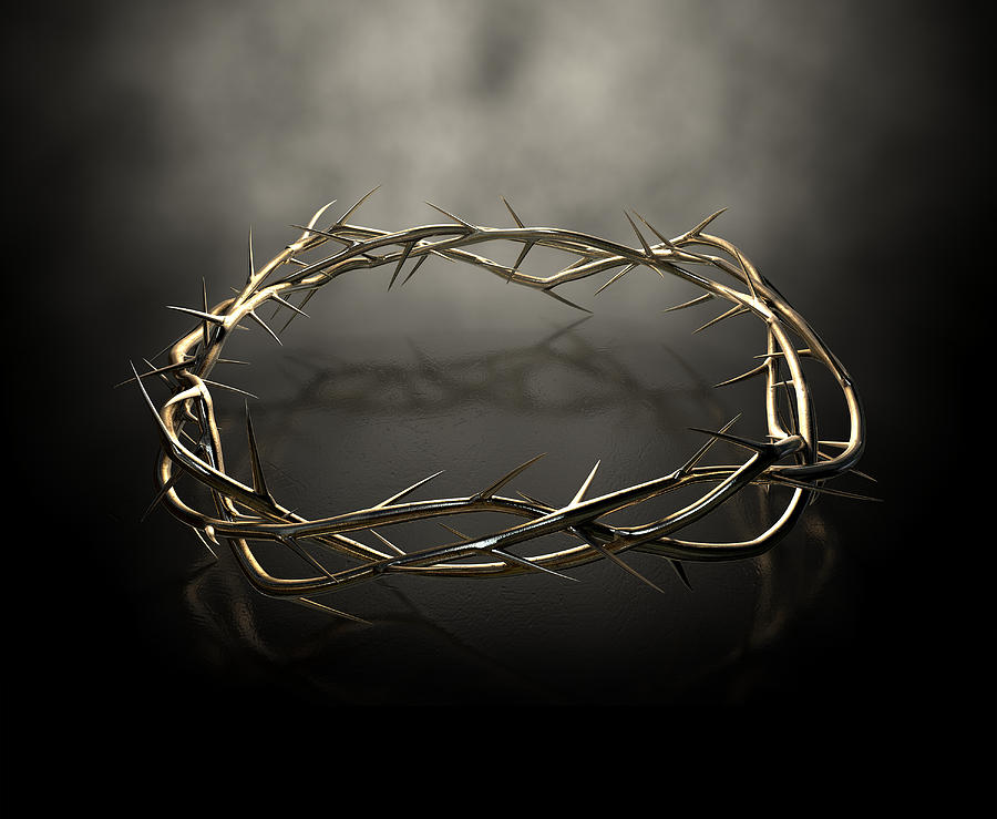 Crown Of Thorns Gold Casting Digital Art by Allan Swart - Fine Art America