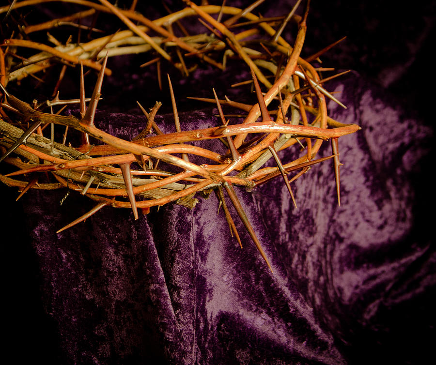 List 97+ Pictures Is The Crown Of Thorns At Notre Dame Real? Full HD ...