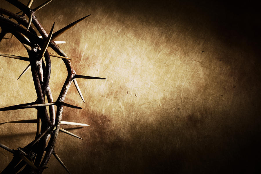 Crown of Thorns on Grunge Background Photograph by Duckycards