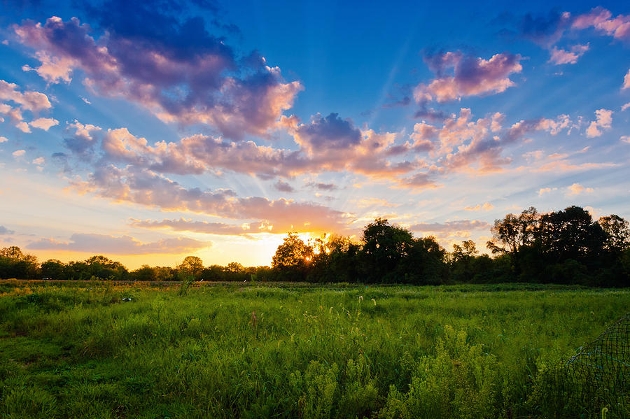 Crowned Countryside Photograph by David Lamb | Fine Art America