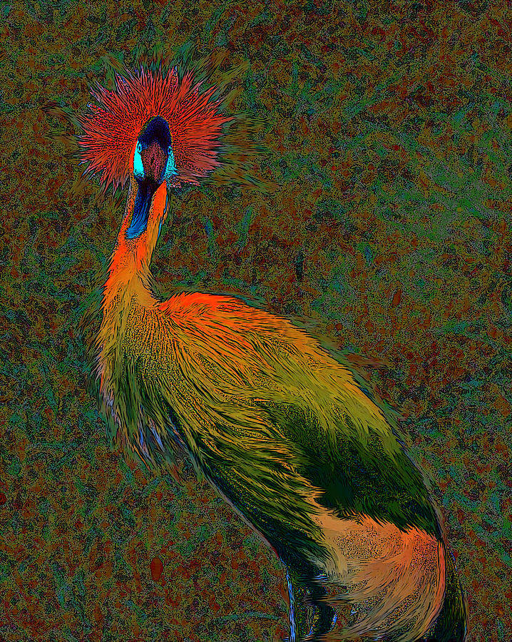 Crowned Crane Digital Art by Jane Schnetlage