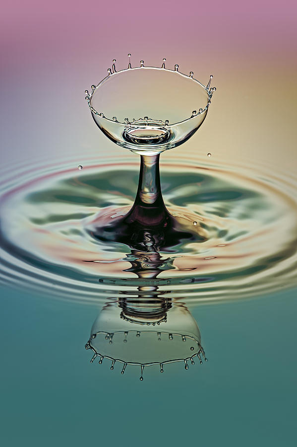 Crowning The Goblet Photograph by Susan Candelario | Fine Art America