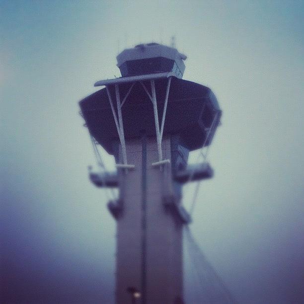 Early Photograph - Crows Nest. #goodmorning #lax #flight by Chase Alexander