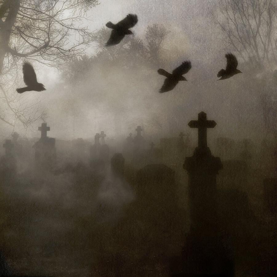 Crows On A Eerie Night Photograph by Gothicrow Images - Pixels