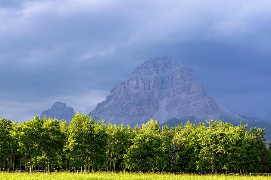 Summer Photograph - Crowsnest Mountain At Crownest Pass by Chuck Haney