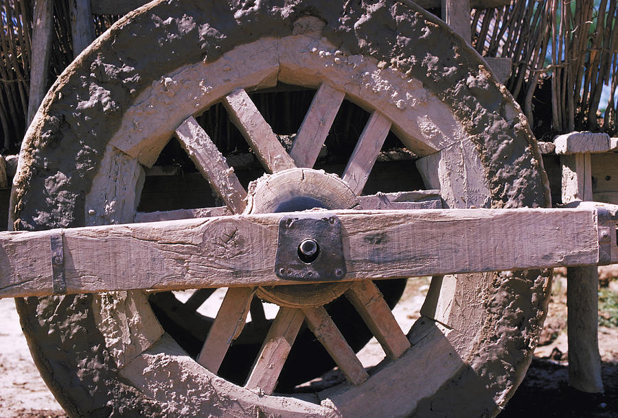 Crude Wheel In Egypt Photograph