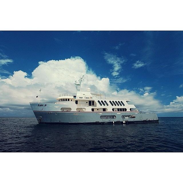 Cruise Ship Lady D #gf_daily Photograph by Asep Dedo Dep