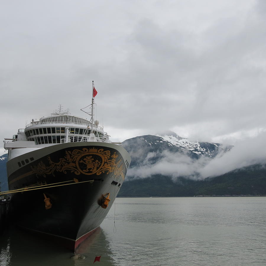 Cruise Ship Photograph by Vijay Sharon Govender