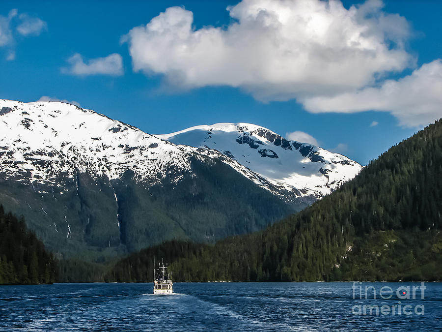 Cruising Alaska Photograph by Robert Bales