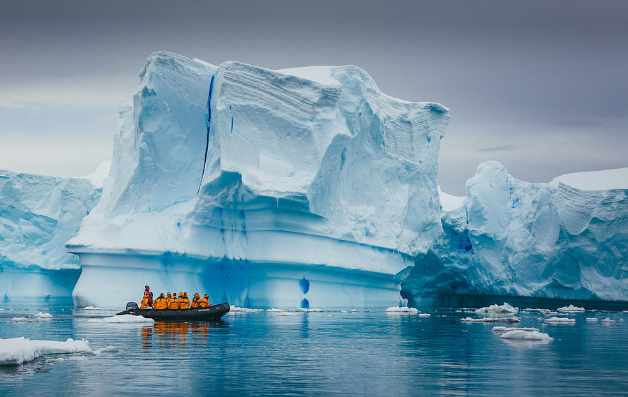 Cruising Antarctica Photograph by David Merron Photography