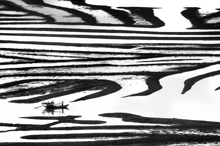 Fish Photograph - Cruising On A Zebra by Youdu,tian(???)