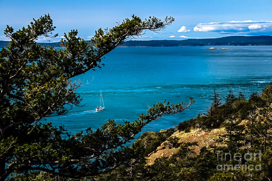 Cruising Photograph by Robert Bales - Fine Art America