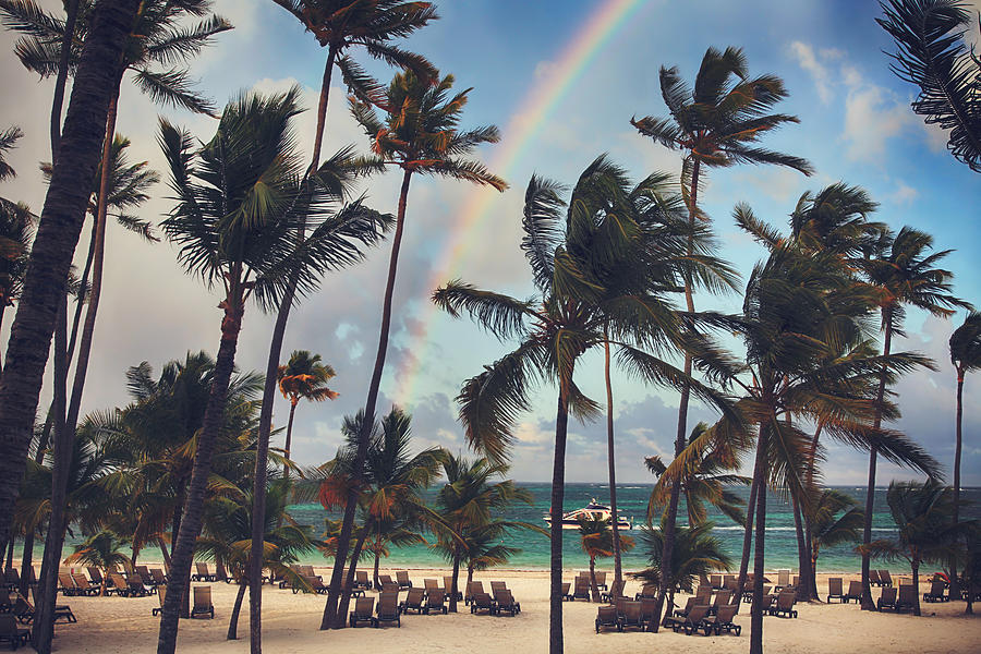 Beach Photograph - Cruising Under the Rainbow by Laurie Search
