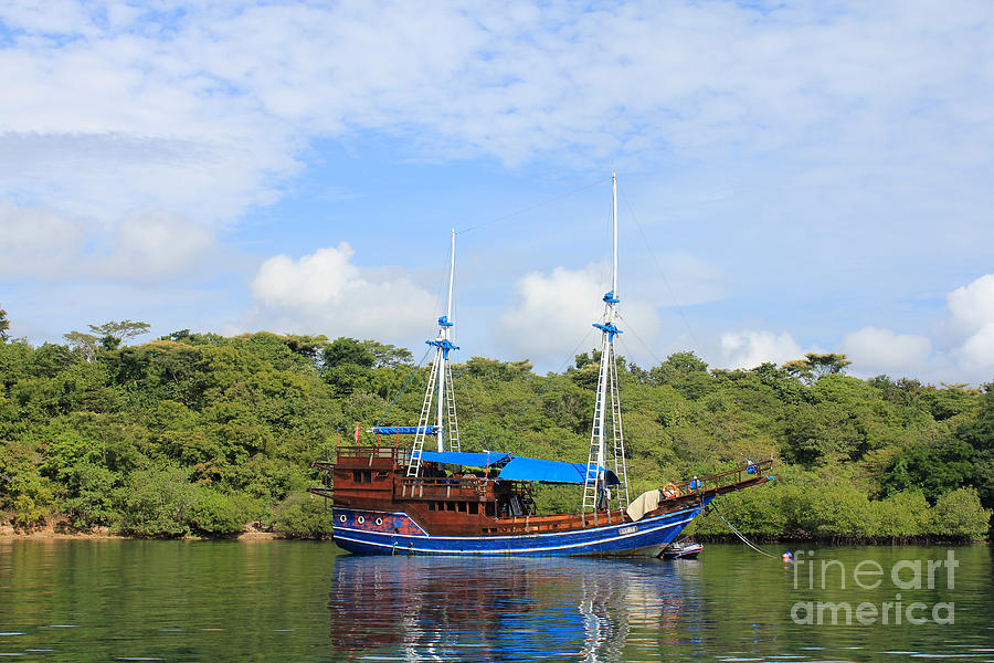 yacht cruising video