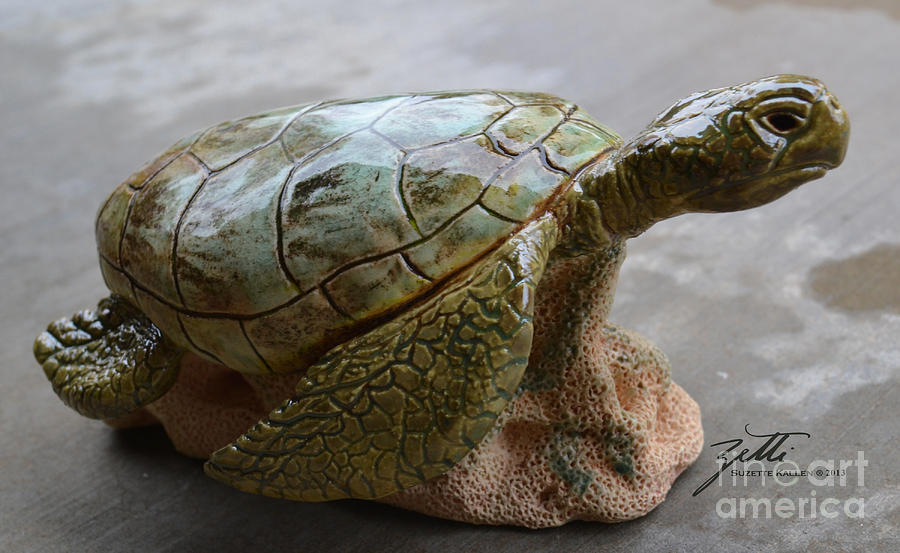 Turtle Sculpture - Crush by Suzette Kallen