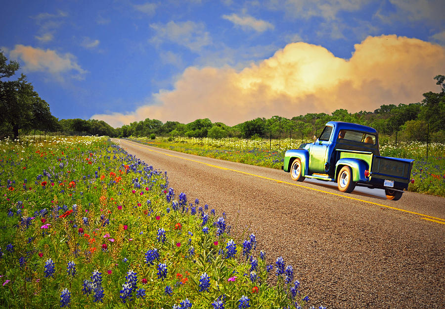 Crusin the Hill Country in Spring Photograph by Lynn Bauer
