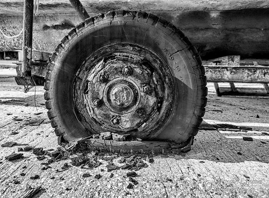 Crusty - BW Photograph by Christopher Holmes