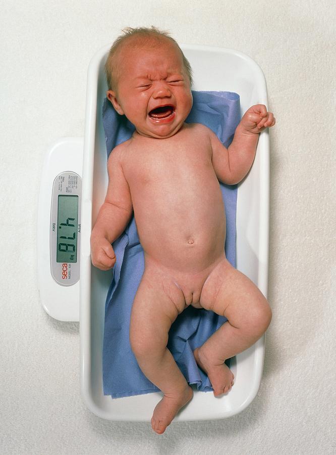 Weighing Scales Photograph - Crying Baby Girl Weighed On Electronic Scales by Saturn Stills/science Photo Library