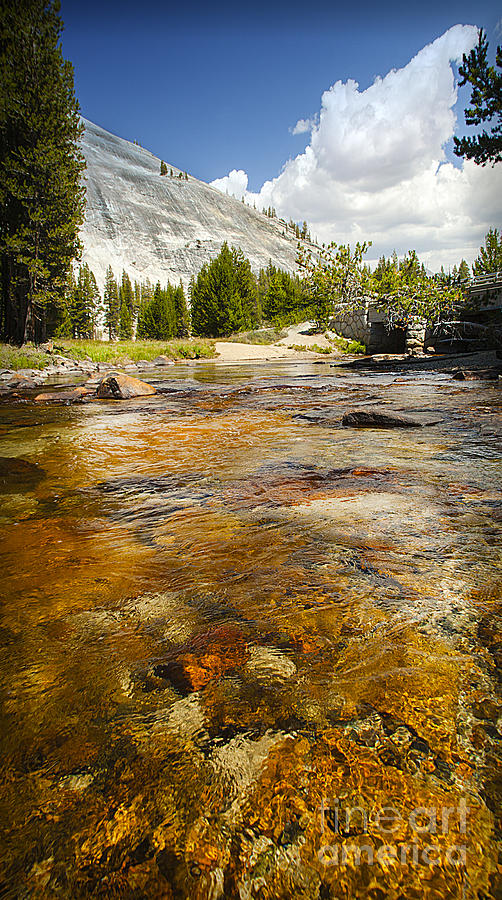 Crystal Clear Tuolumne Meadows Mountain Tranquil Stream Yosemite National Park California  Photograph by Jerry Cowart