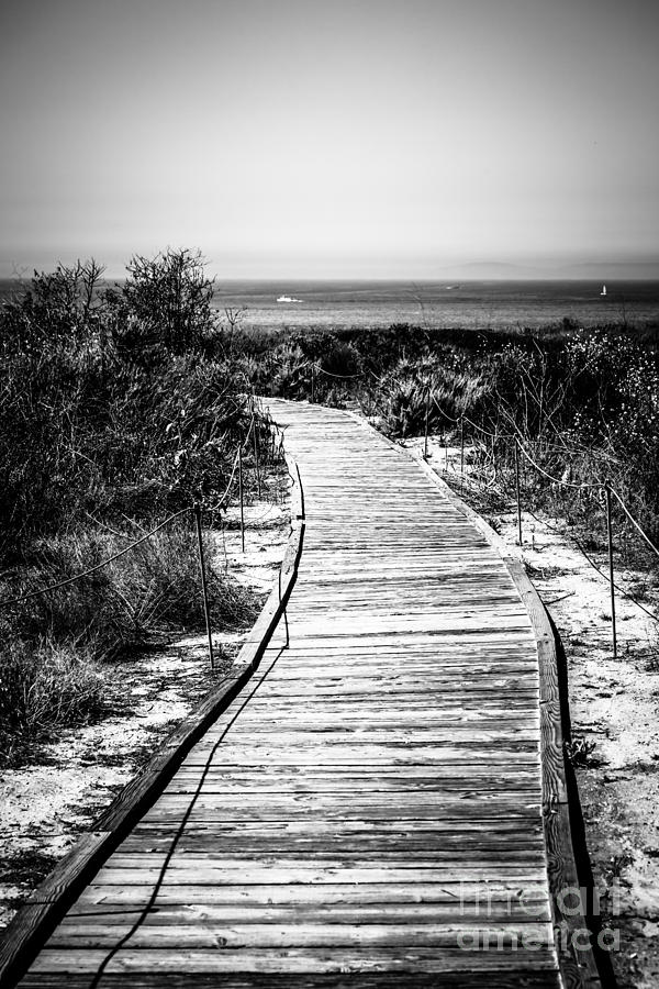 Black And White Photograph - Crystal Cove Wooden Walkway in Black and White by Paul Velgos