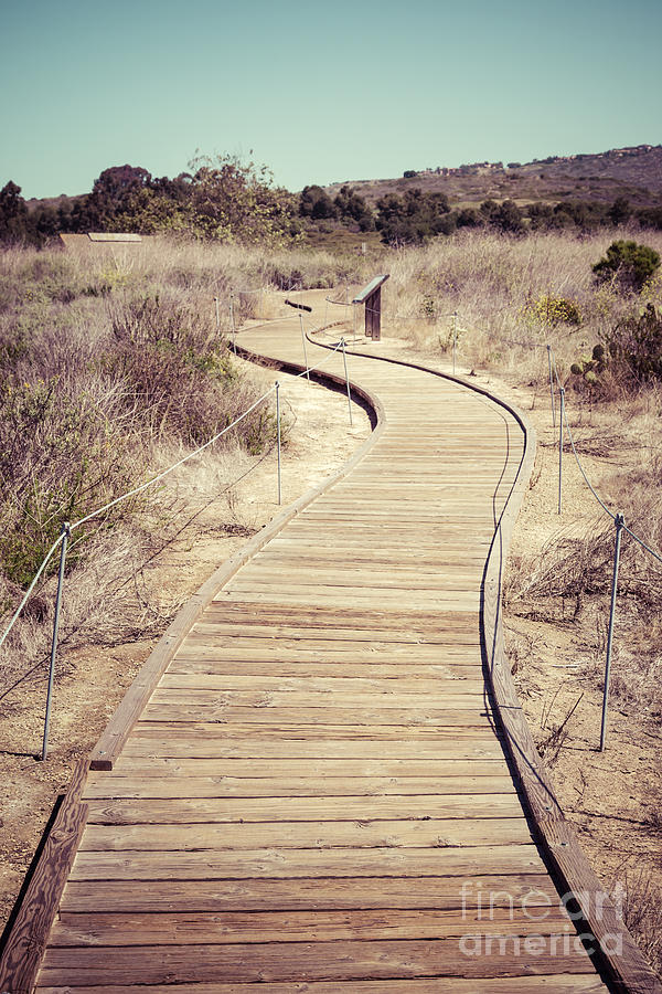 Nature Photograph - Crystal Cove Wooden Walkway Vintage Photo by Paul Velgos