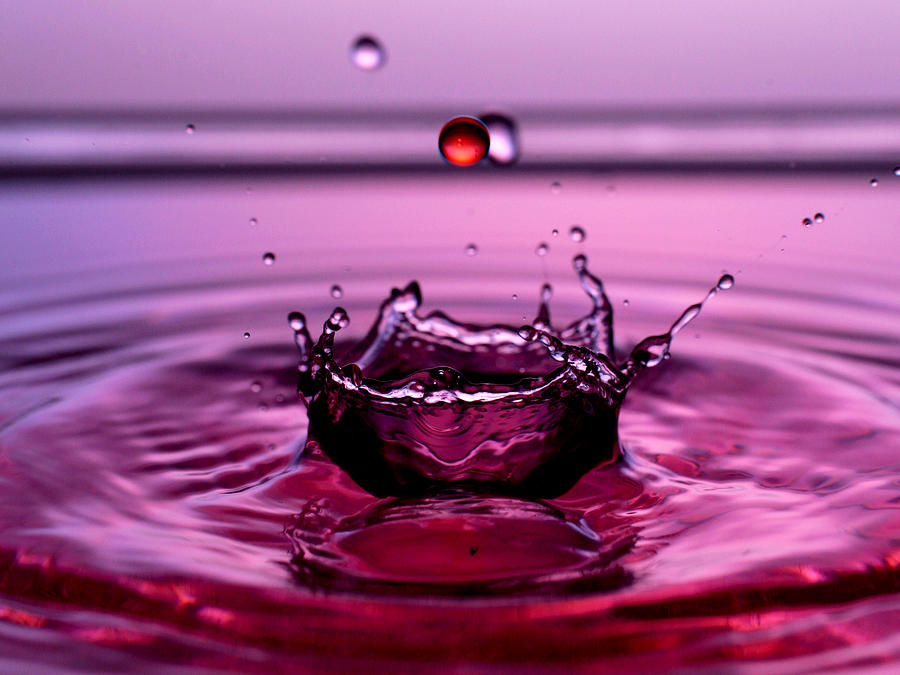 Mushroom Photograph - Crystal crown Water Droplets Collision Liquid Art 4 by Paul Ge