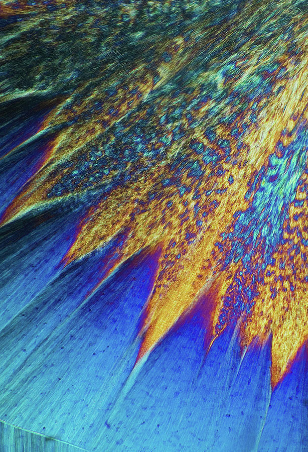 Crystal Formation Photograph by Paul Whitten