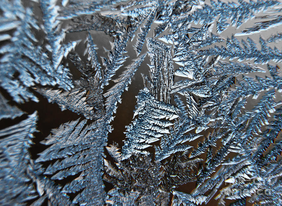 Crystal Frost Photograph by Cheryl Baxter