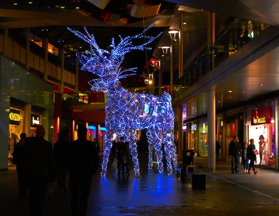 Crystal Reindeer at Liverpool One  Photograph by Joan-Violet Stretch