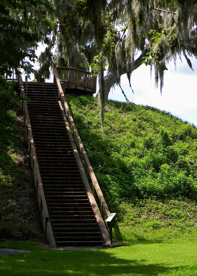 Unearthing History: A Journey to Crystal River Archaeological State Park