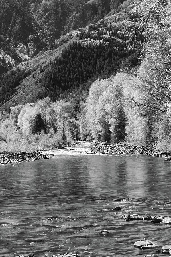 Crystal River - Black and White Photograph by Harold Rau