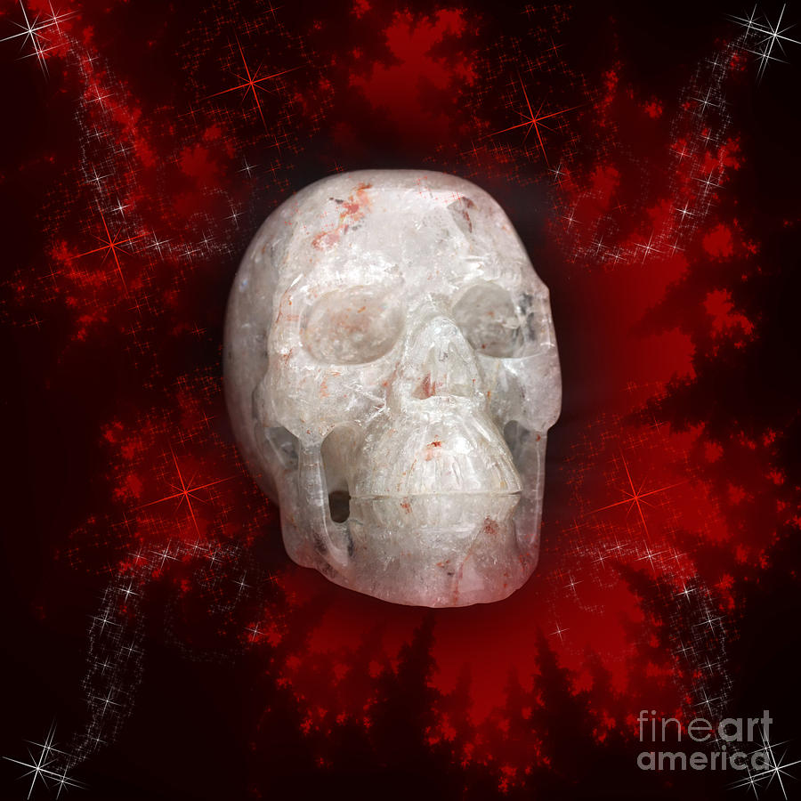 Halloween Photograph - Crystal Skull on Red by Terri Waters