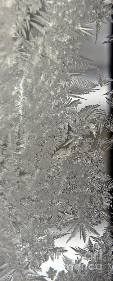 Crystalized Ice on Glass Photograph by Lilliana Mendez