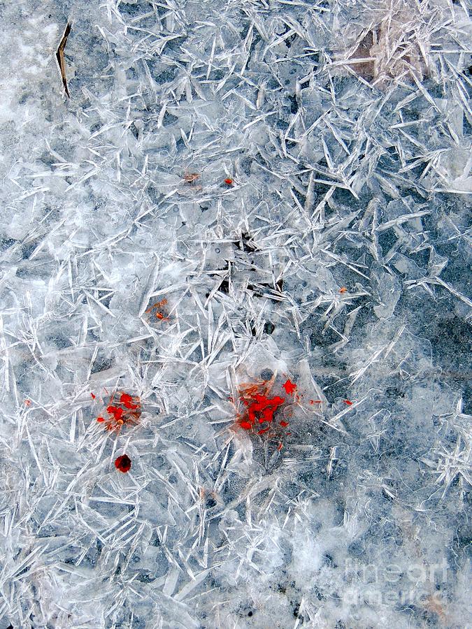 Crystallized Ice Photograph by Marcia Lee Jones