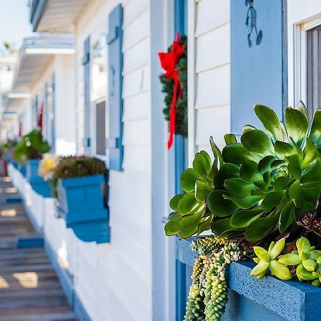 Holiday Photograph - #crystalpier #cottages #sandiego by Robert Bellomy