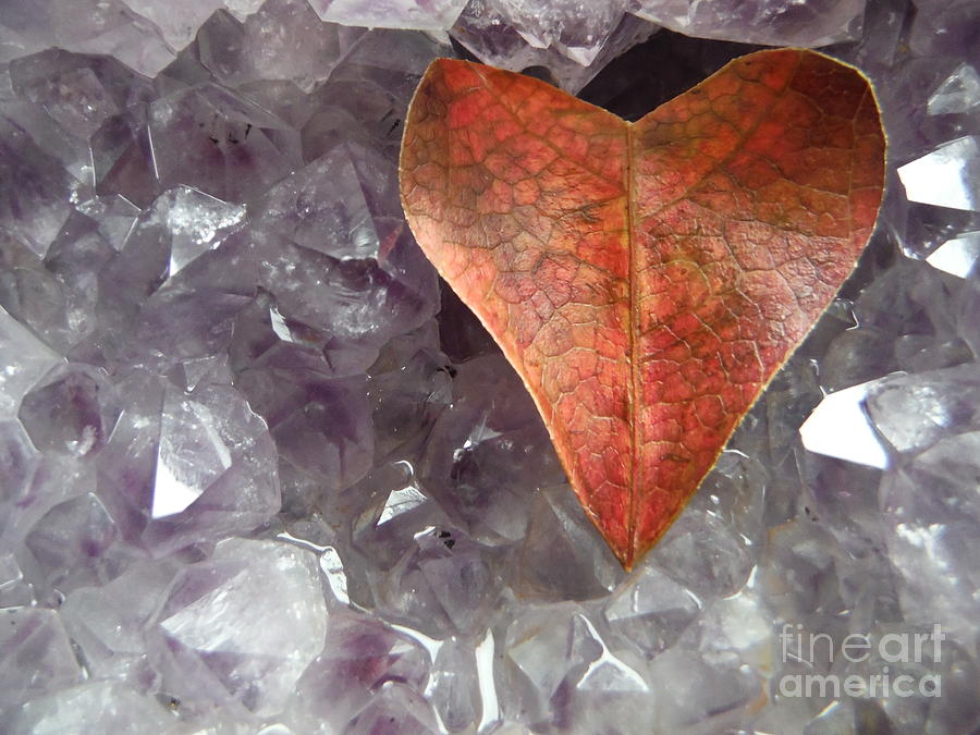 Crystals Amplify Love Photograph by Paddy Shaffer