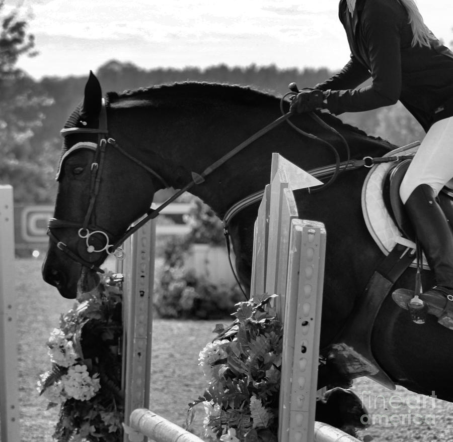 Csjt-jumper68 Photograph by Janice Byer