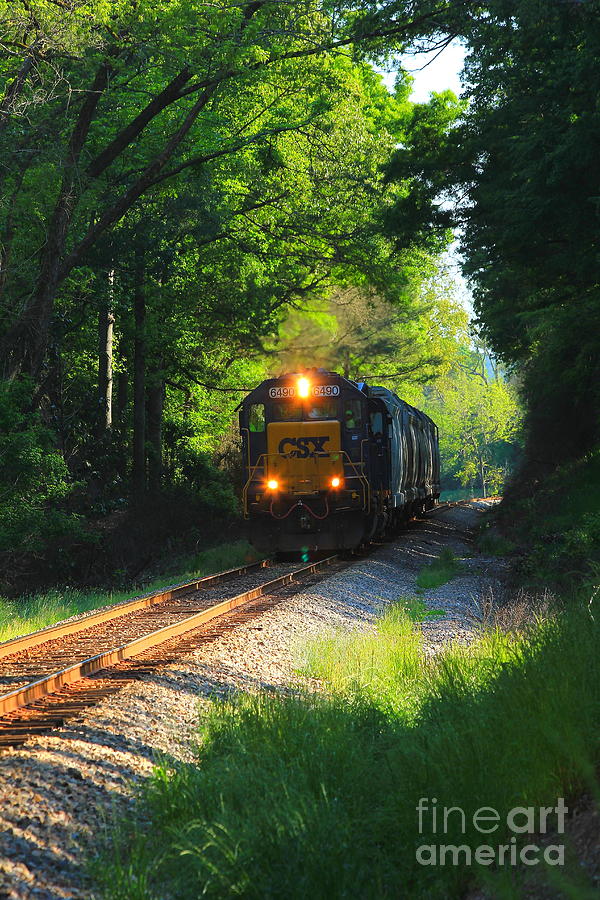 CSX Green Tunnel Photograph by Reid Callaway - Pixels