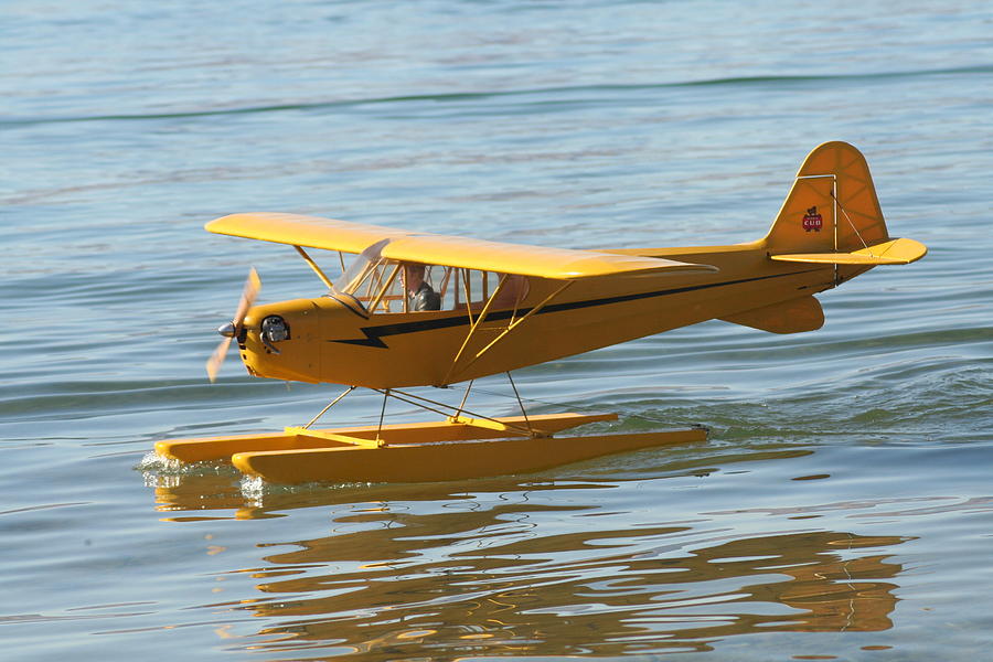 Cub on floats Photograph by David S Reynolds