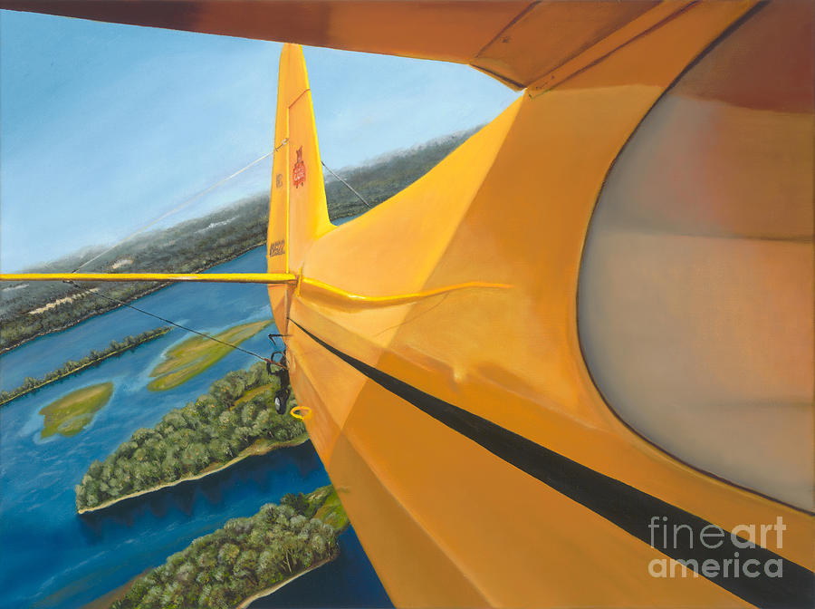 Aviation Painting - Cub over the Mississippi by Pati ONeal