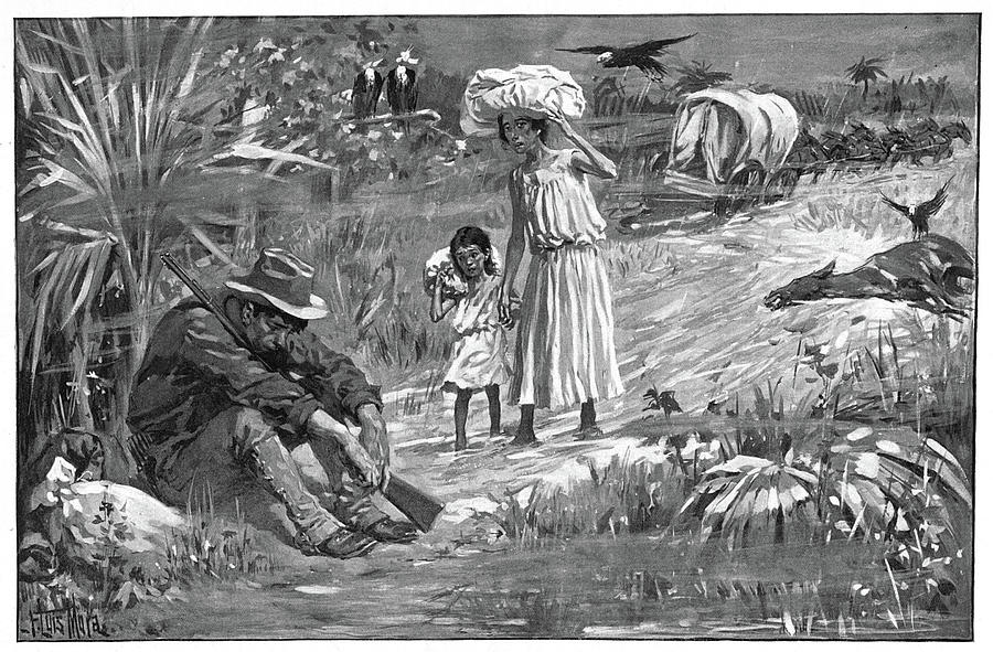Cuba Yellow Fever, 1898 Drawing by Granger