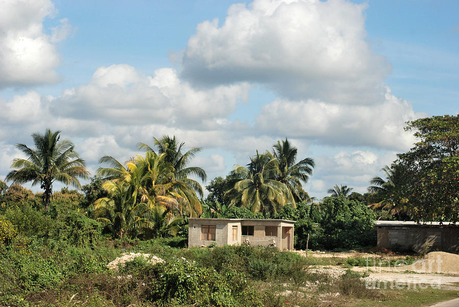 Cuban Landscape Photograph by Andrea Simon