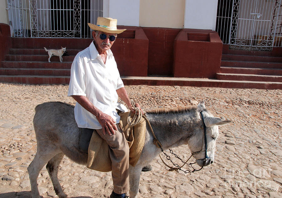 Cuban Man on Donkey Photograph by Andrea Simon