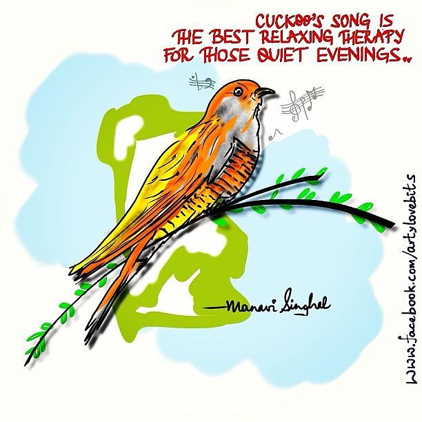 Bird Photograph - #cuckoo s #song Is The Best #relaxing by Manavi Singhal