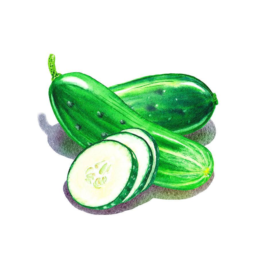 Cucumber Bunch Painting by Irina Sztukowski