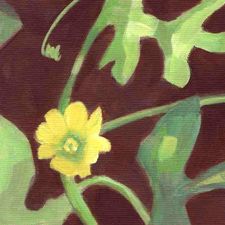 Cucumber Flower Painting by Kazumi Whitemoon