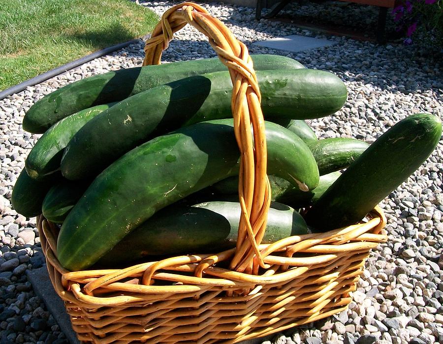 Cucumbers In A Basket Painting